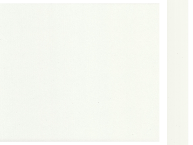10009 WHITE SR209