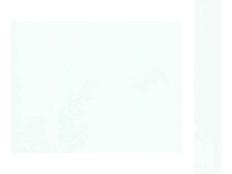 10014 BLANCO LFH