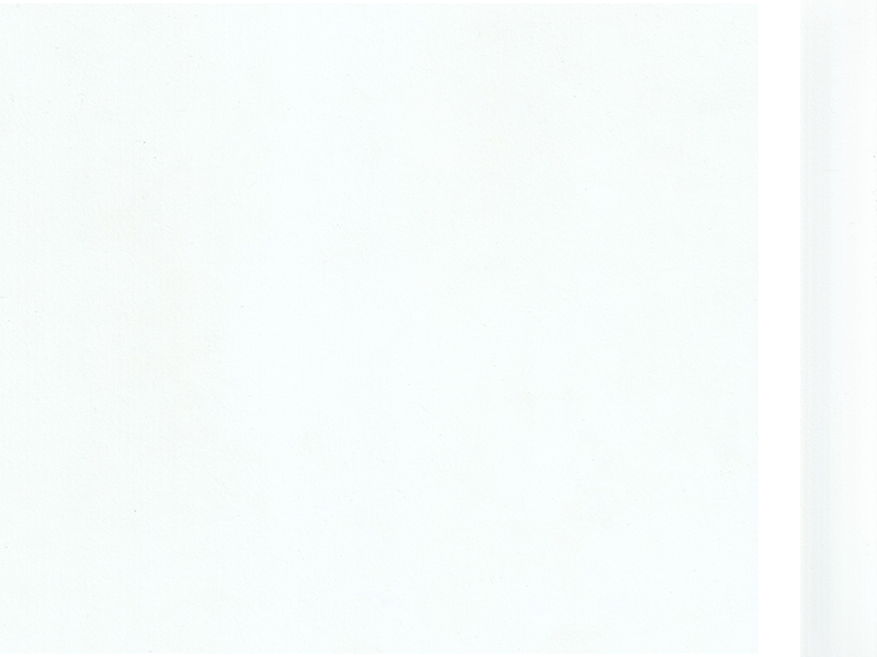 10229 BLANCO LB3