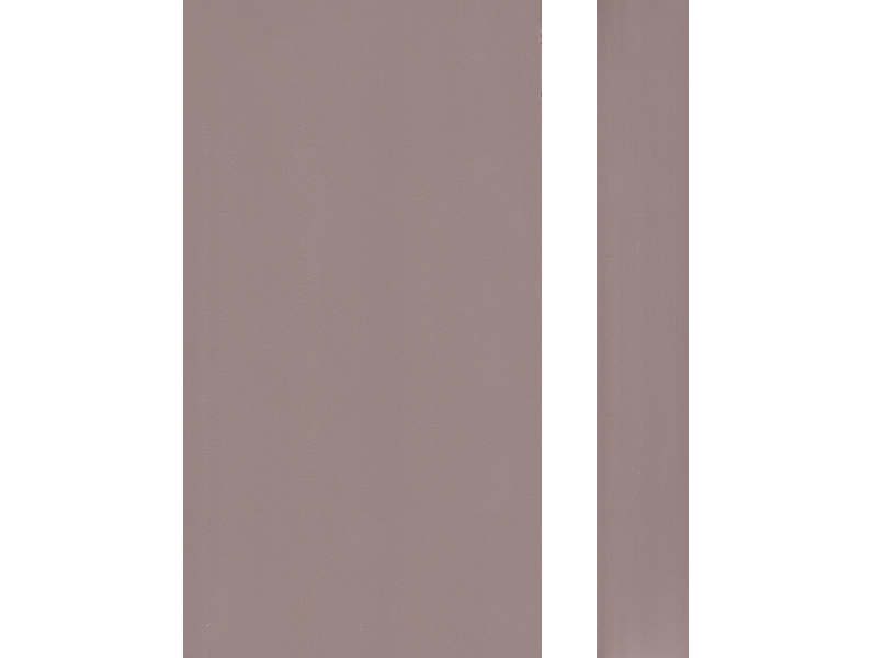 10299 MINK