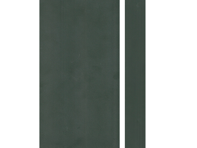 10645 CACTUS