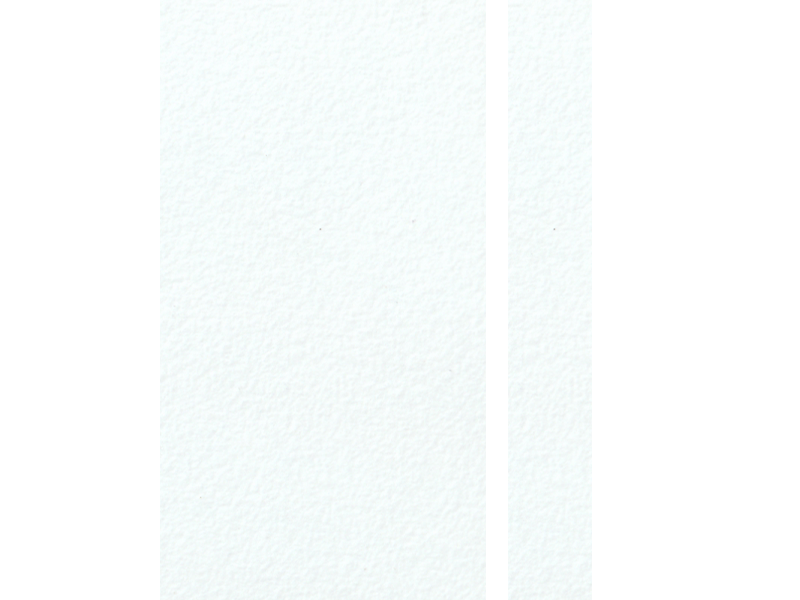 10729 ALPINE WHITE