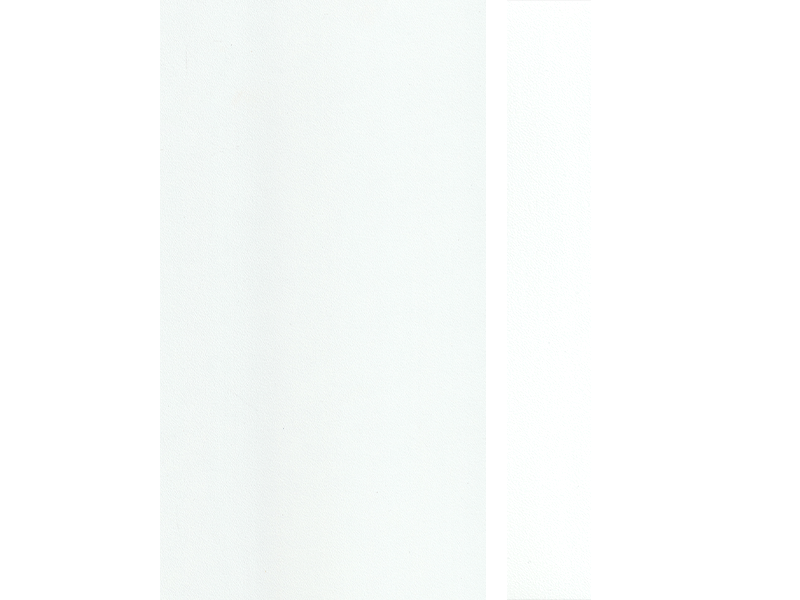 11036 WHITE