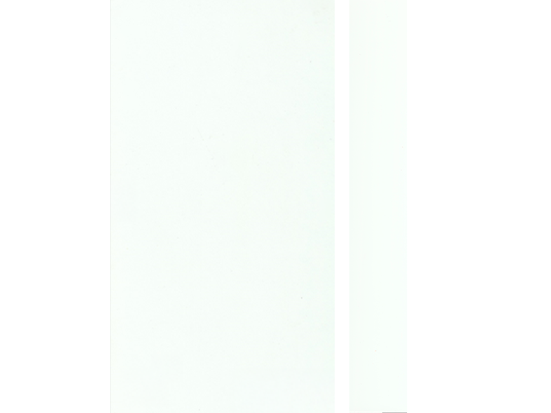 11079 PREMIUM WHITE