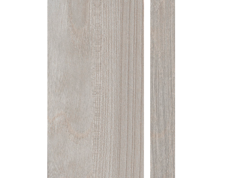 20171 ELM SANGALLO SHELL