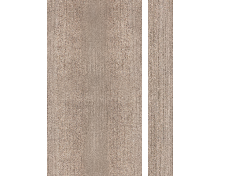 4031 PEREIRA MAPLE
