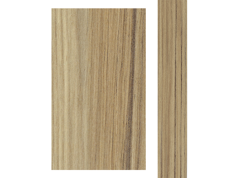 4077 COCO BOLO