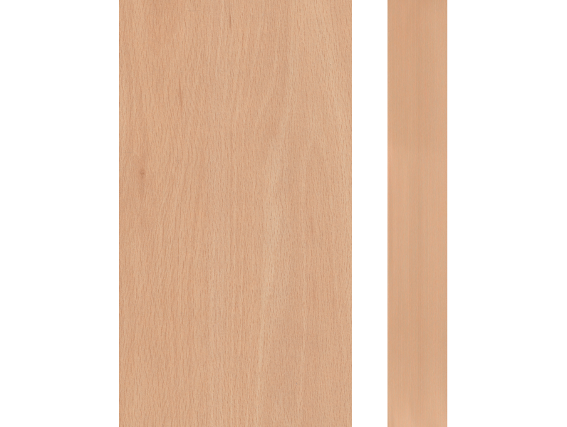 4486 OLIVA