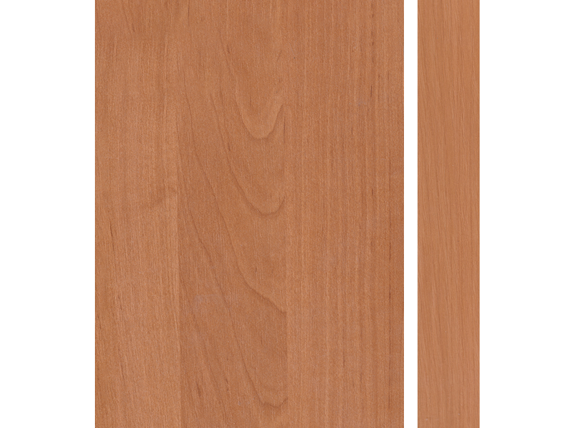 4729 ALDER