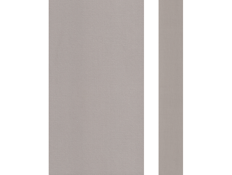 4809 GRIS CALIDO