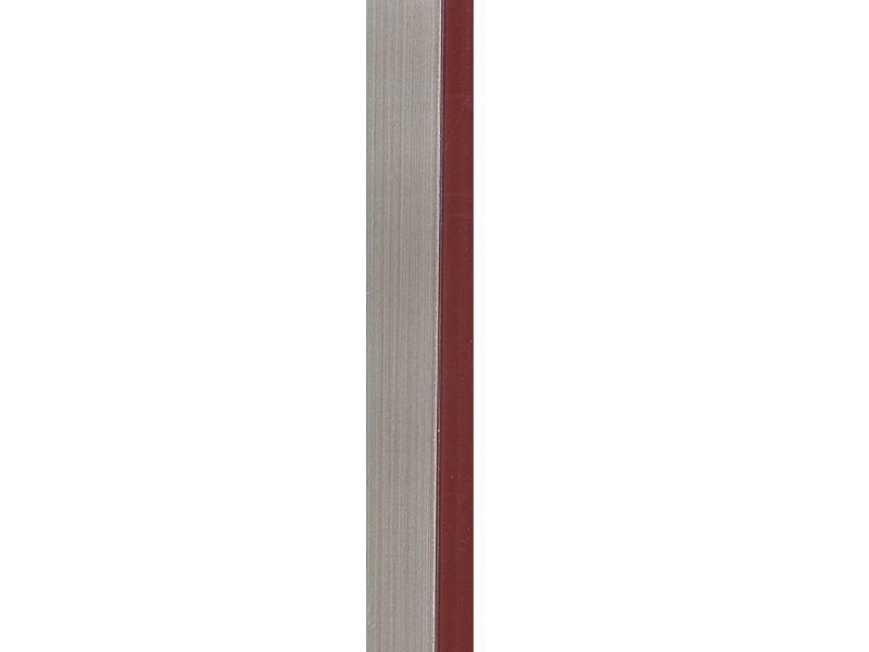 C019 VISNE